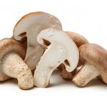 Recipe: 3 Mushroom Recipes For Kids